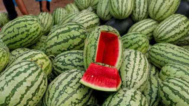 Watermelon Watermelon তরমুজ তরমুজ