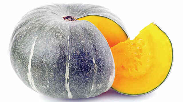 Plant Cucurbita moschata Crookneck pumpkin মিষ্টি কুমড়া মিষ্টিকুমড়া মিষ্টি লাউ মিষ্টিলাউ লতা জাতীয় গাছ