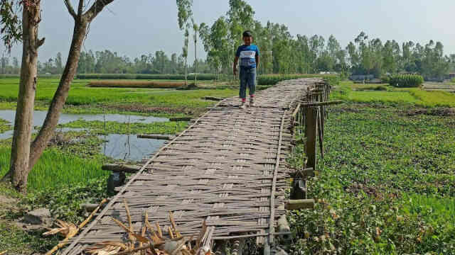 Villagers are making bamboo poles বাশের বাঁশের সাঁকো পুল বাঁশ সাকো পুল সাকো রংপুর