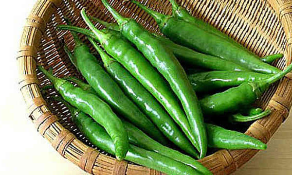 Green chilli import starts through Hili port