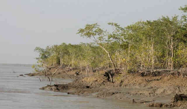 Coastal erosion loss displacement land long-term removal sediment rocks coastline waves currents tides wind-driven water waterborne ice storms উপকূল ভাঙন উপকূলীয় ভাঙন Upakul bank coast shore littoral সমুদ্র নদী কূল নিকটবর্তী স্থান বেলাভূমি তটভূমি সমুদ্র উপকূল উপকূলীয় অঞ্চল তলিয়ে যাবে