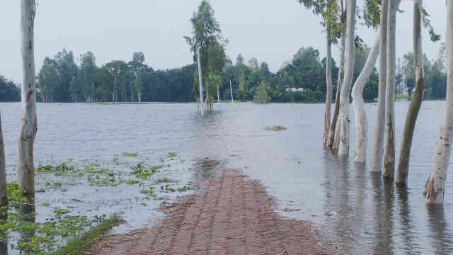 প্লাবন flood Disaster Flood Safety adb Flood Flooding overflow water rain snow coastal storms storm surges dangerous floodwaters floodwater বন্যা কবলিত পানি প্রবাহ প্রবাহিত পানি জোয়ার ভাটা কৃষি জোয়ার-ভাটা দুর্যোগ বন্যা বন্যার্ত পানি