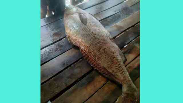 fish বন্দর আমদানি বাণিজ্য import trade trade Export Promotion Bureau EPB Export Market বাণিজ্য রপ্তানি উন্নয়ন ব্যুরো ইপিবি export shop food ভোজ্যতেল চিনি আটা vegetable Vegetables mudi dokan bazar মুদি বাজার নিত্য পণ্য দোকান mudi dokan bazar মুদি বাজার নিত্য পণ্য দোকান romzan ডলার রোজা রমজান পণ্য ভোগ্যপণ্যের আমদানি এলসি ভোগ্যপণ্য খালাস স্থলবন্দর বাজার bazar fish hilsha Panta Ilish Panta_Ilish Cooked rice steaming boiling boiled rice চাল চাউল ধান ভাত অন্ন চাল খাবার প্রধান খাদ্য রান্না সিদ্ধ সেদ্ধ Cooked rice steaming boiling boiled rice চাল চাউল ধান ভাত অন্ন চাল খাবার প্রধান খাদ্য রান্না সিদ্ধ সেদ্ধ Panta Ilish Panta_Ilish Cooked rice steaming boiling boiled rice Panta bhat Hilsa Fish Fried পান্তা ইলিশ চাল চাউল ধান ভাত অন্ন চাল খাবার প্রধান খাদ্য রান্না সিদ্ধ সেদ্ধ পান্তা ভাত পহেলা বৈশাখ বাংলা নববর্ষ ইলিশ ভাজা মাছ মাছ fishing catch fish Boat ship ark skiff davit craft smack yawl scow vessel জাহাজ তরণী সিন্দুক নৌকা জেলে নৌকা নিষিদ্ধ কারেন্ট জাল জালিয়া খাল বিল নদী নালামাছ কালো পোপা কালো পোয়া