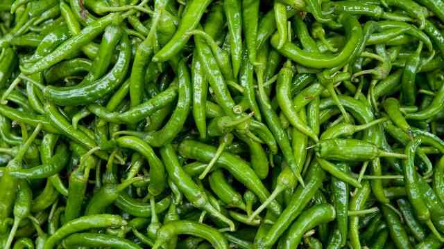 Chili pepper Fruit Chili কাঁচা মরিচ কাঁচামরিচ কাঁচা মরিচ morich