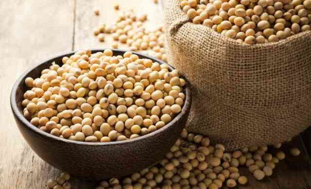 soy protein সয়া প্রোটিন Soyabin Oil ভোজ্যতেল সয়াবিন তেল সয়াবিন তেল ভোজ্যতেল soybean soya bean edible oil soy-beans-royalty soy beans royalty