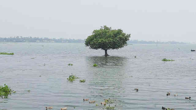 climate flood Water level Of Jamuna jamuna-river প্লাবন flood flood Disaster Flood Safety adb Flood Flooding overflow water rain snow coastal storms storm surges dangerous floodwaters floodwater বন্যা কবলিত পানি প্রবাহ প্রবাহিত পানি জোয়ার ভাটা কৃষি জোয়ার-ভাটা দুর্যোগ বন্যা বন্যার্ত পানি বন্যা-Kurigram